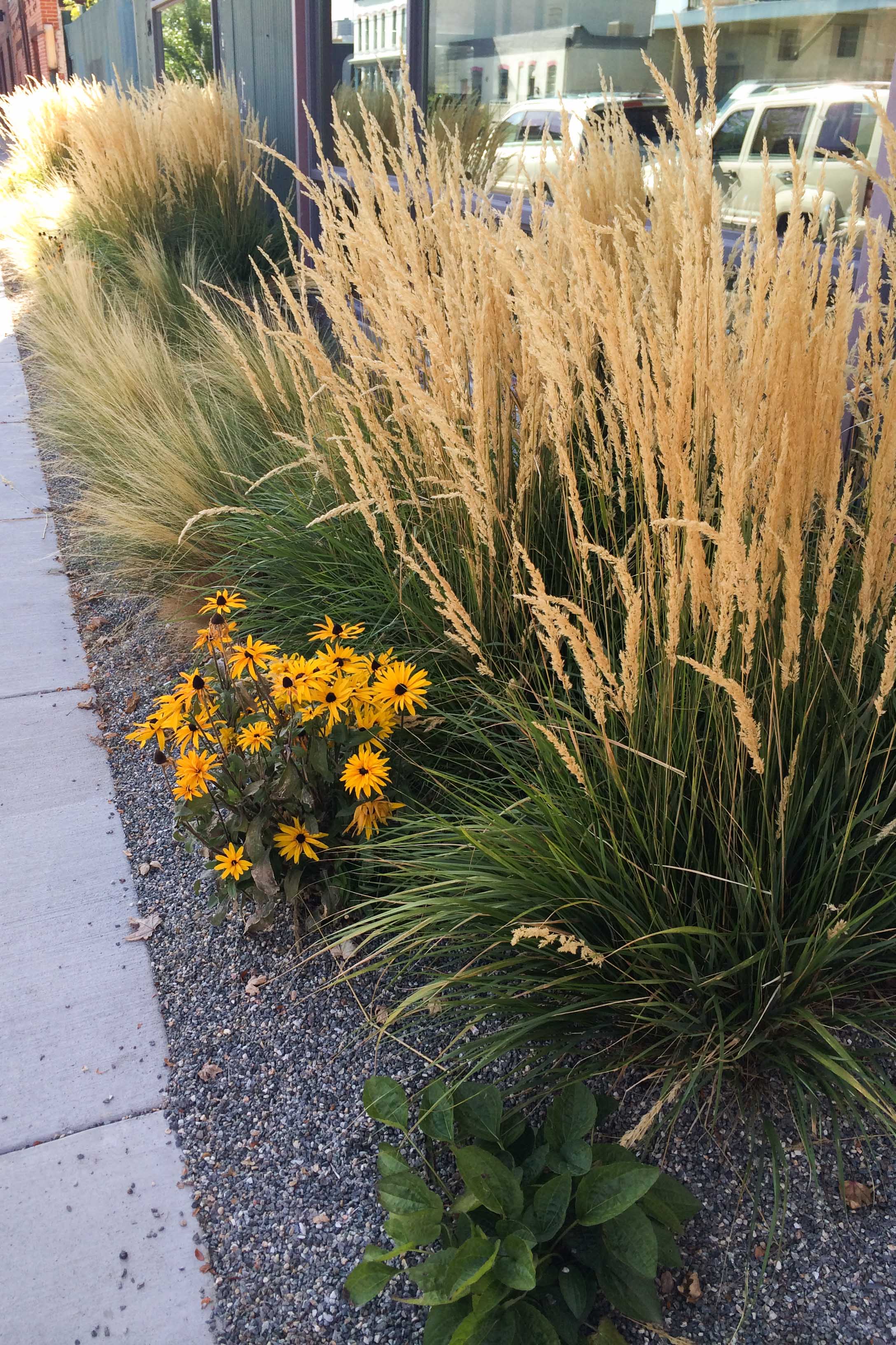 Simple and Striking Strip